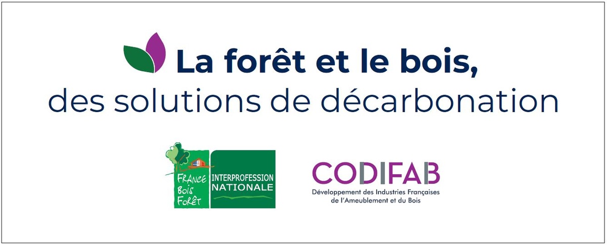 La forêt et le bois, des solutions de décarbonation