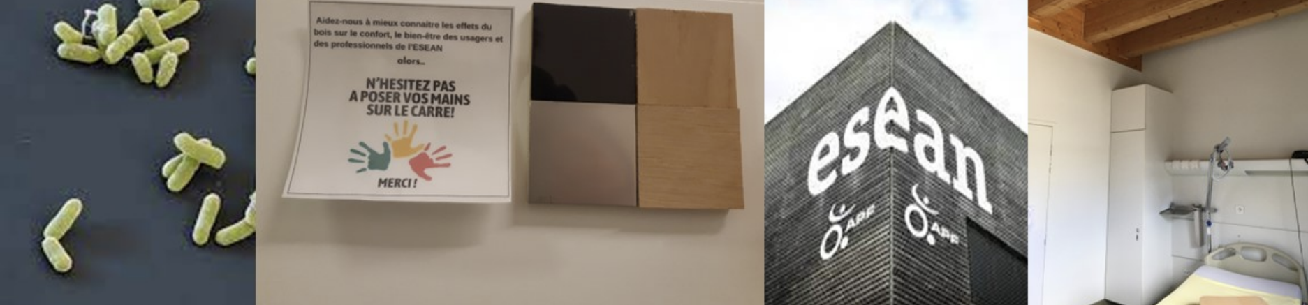 Établissements de santé et bois : interactions & perception