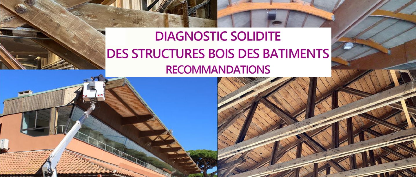 Diagnostic solidité des structures bois des bâtiments