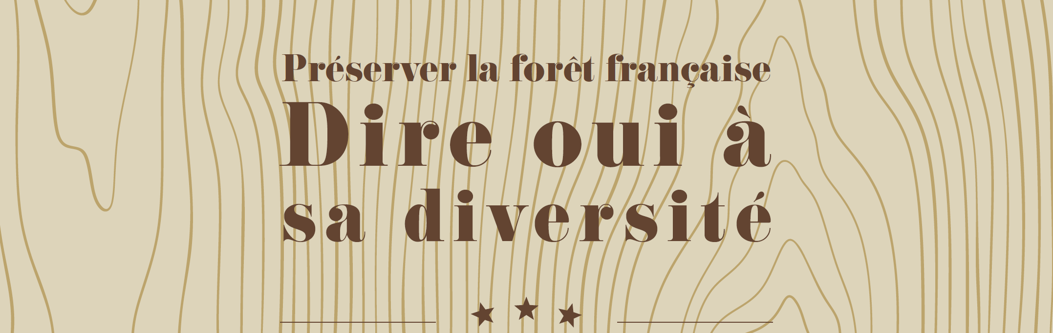 Les singularités du bois, l’empreinte de la vie des arbres